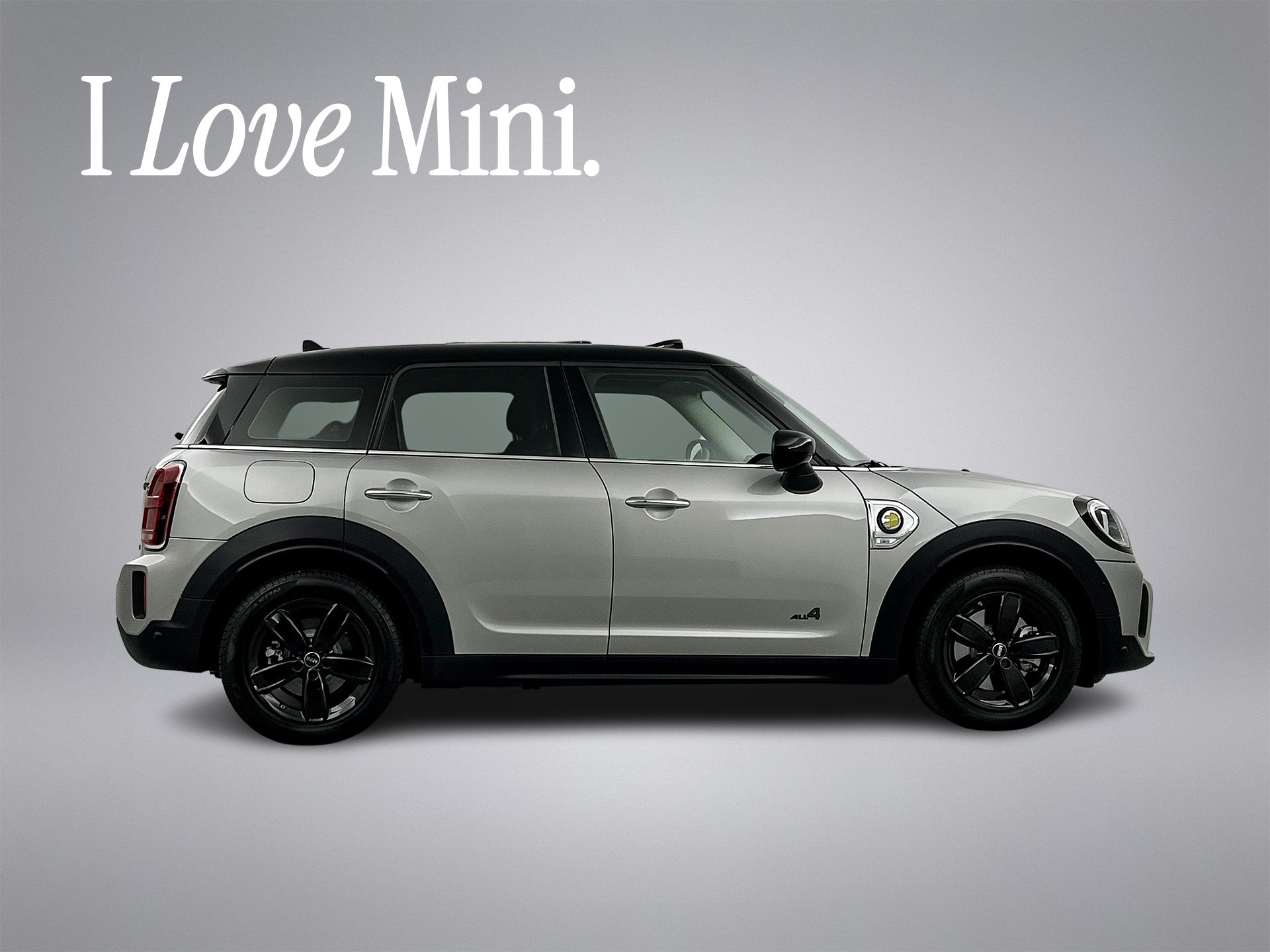 MINI Countryman Cooper S E ALL4 Premium+ Pano-dak/Full Options/Memory/Camera 55015752 afbeelding 5 hexon-img:ae4a49055f31ea2d